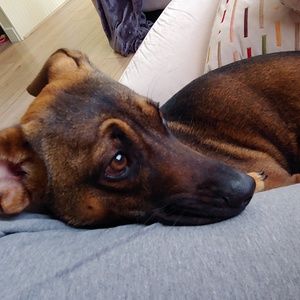 Meet your Posher, Niccole